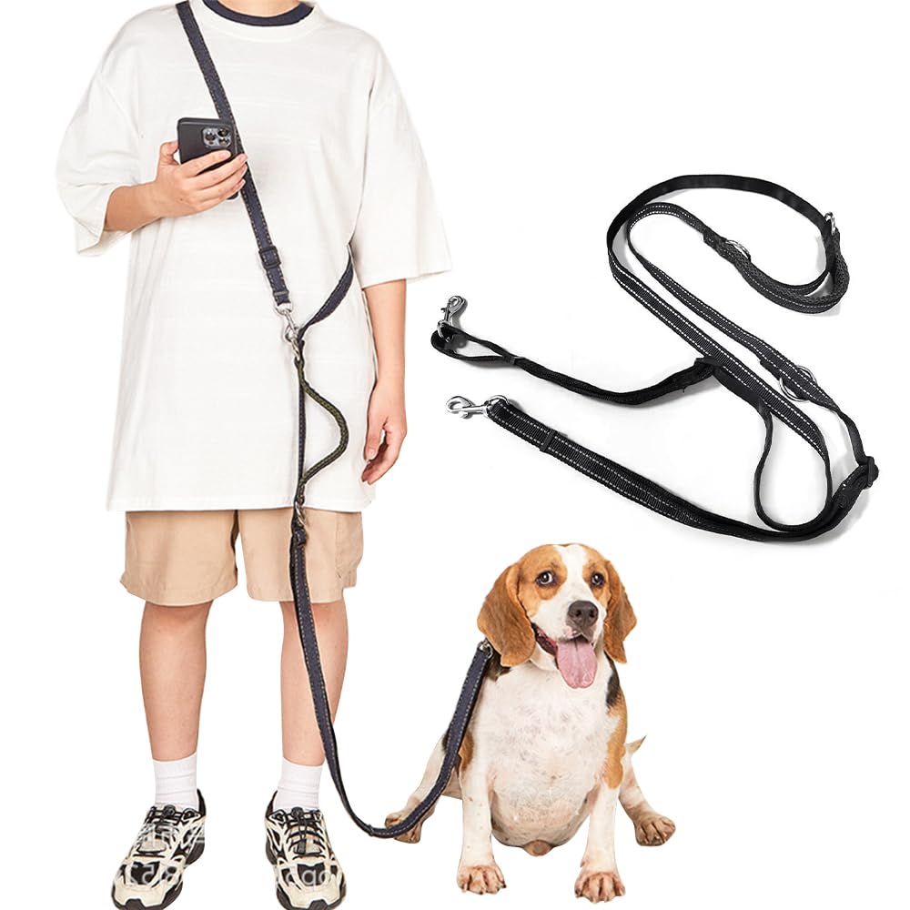 Leash with Trafic Handle