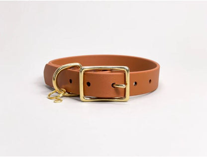 Traditional Buckle Collar