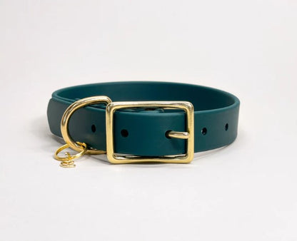 Traditional Buckle Collar