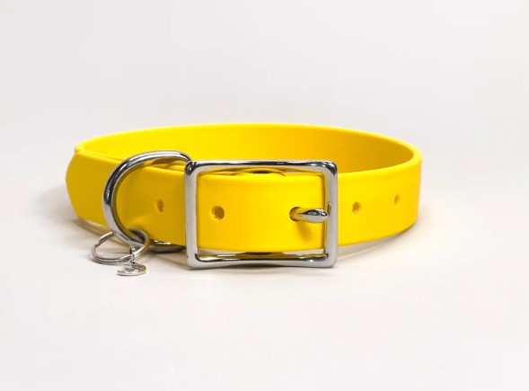 Traditional Buckle Collar