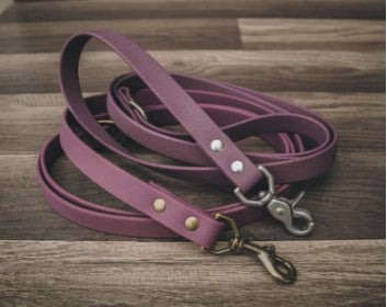 Leash with Trafic Handle