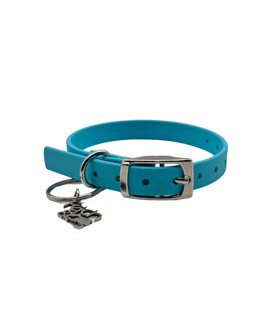 Traditional Buckle Collar