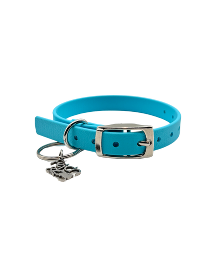 Traditional Buckle Collar