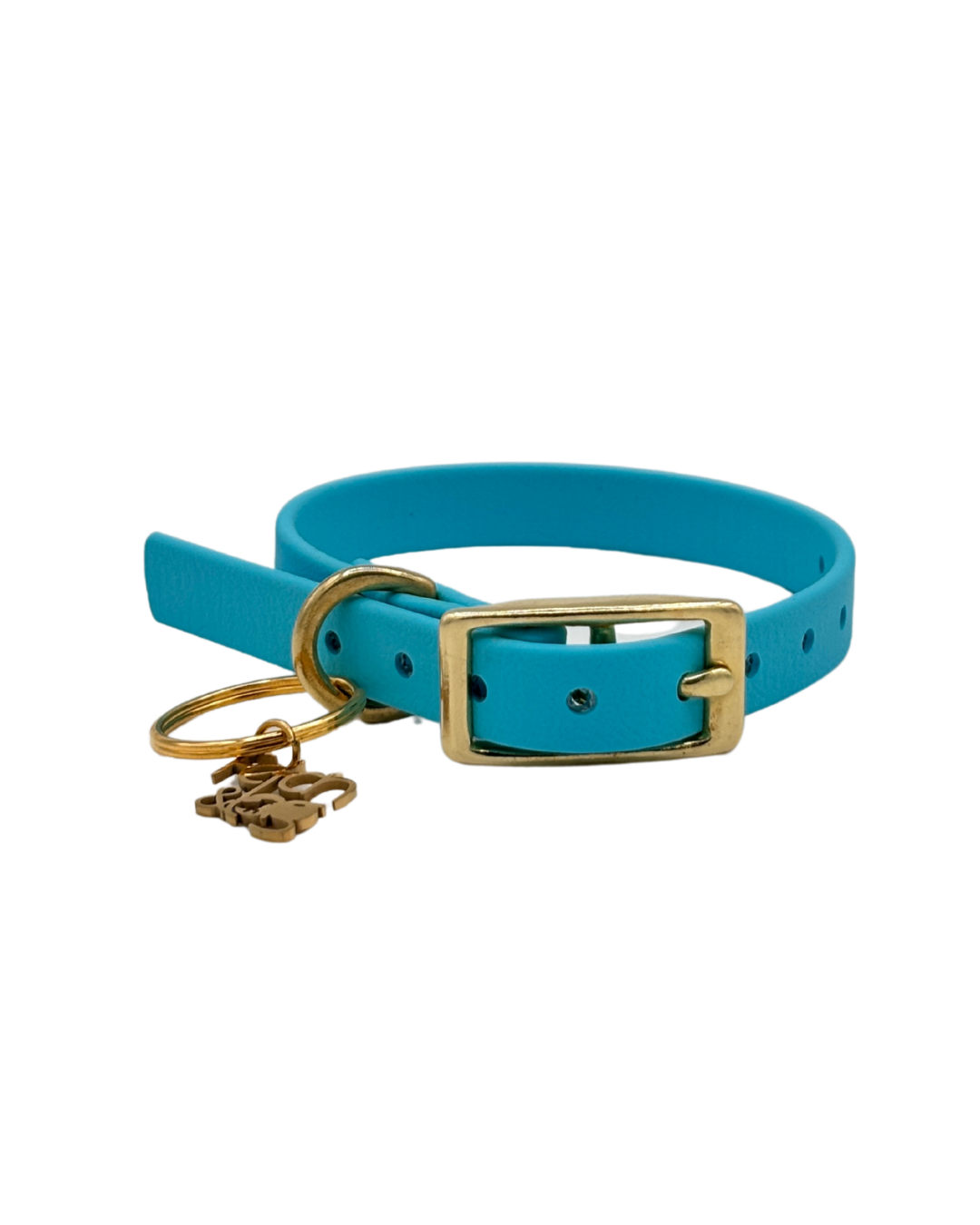 Traditional Buckle Collar