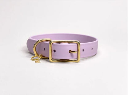 Traditional Buckle Collar