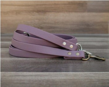 Leash with Trafic Handle