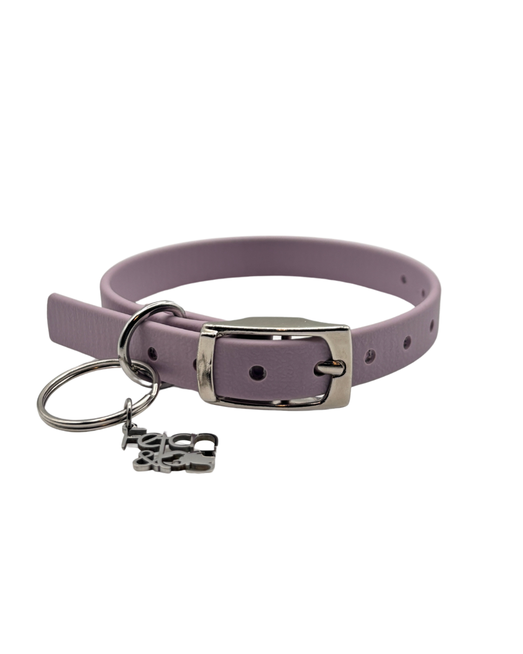 Traditional Buckle Collar