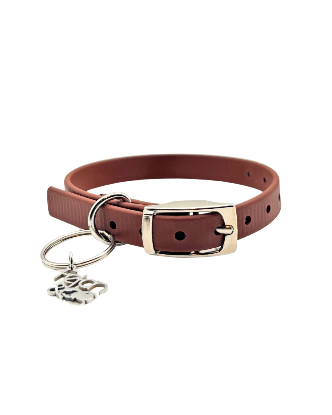 Traditional Buckle Collar