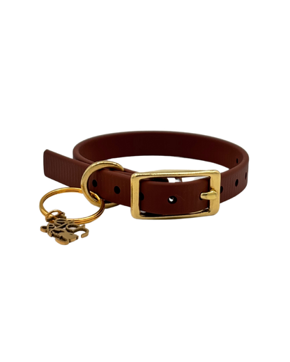Traditional Buckle Collar