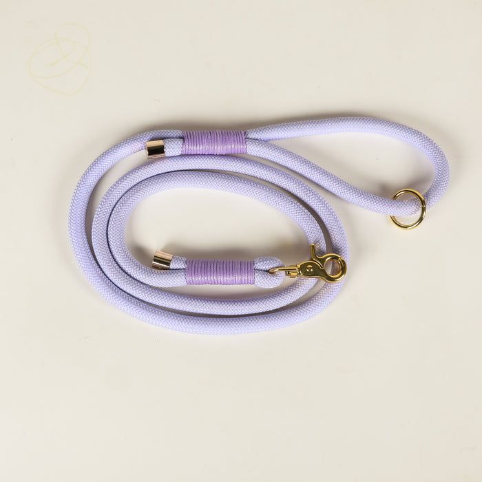 Leash with Trafic Handle
