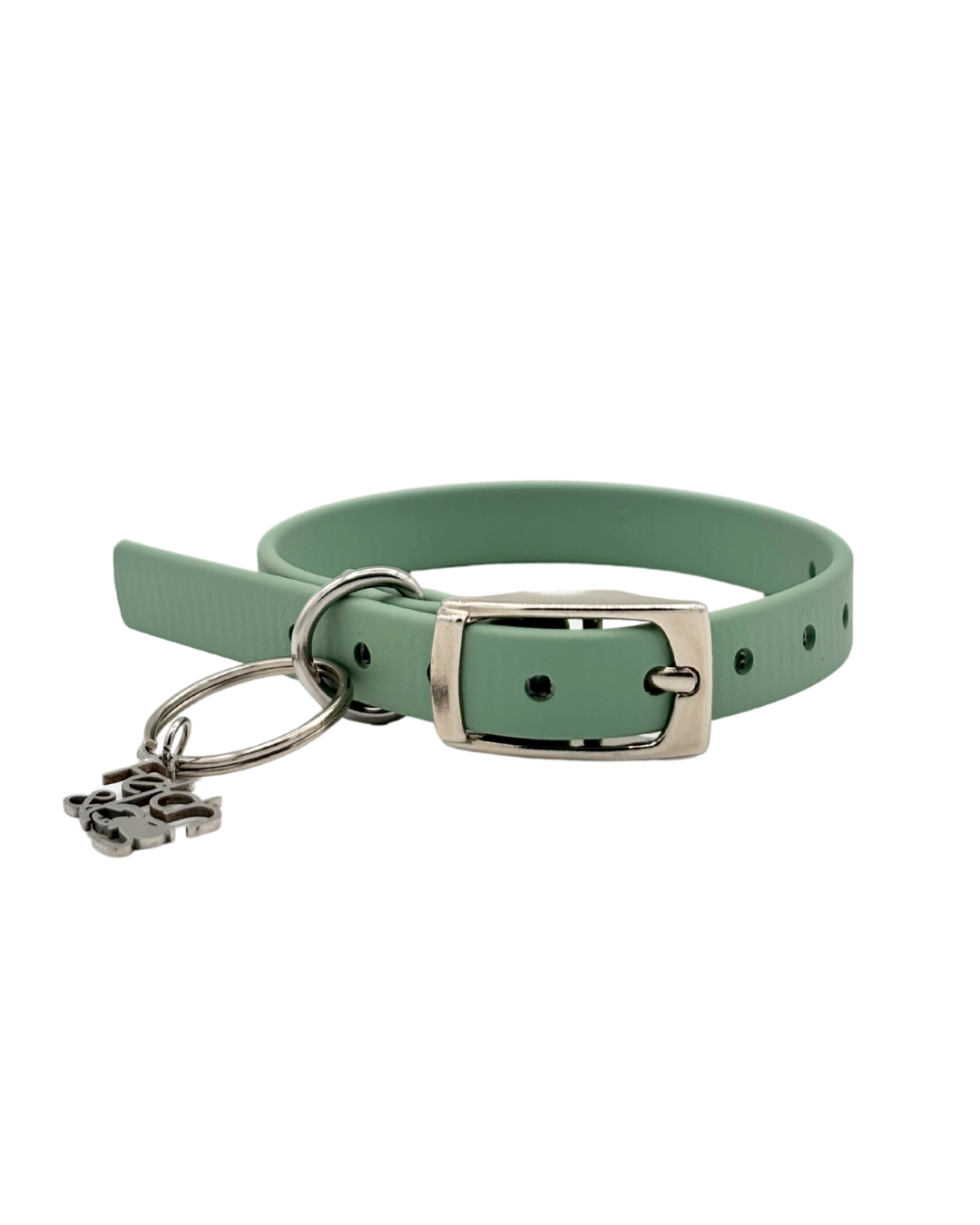 Traditional Buckle Collar