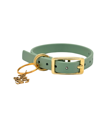 Traditional Buckle Collar