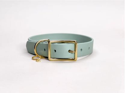 Traditional Buckle Collar