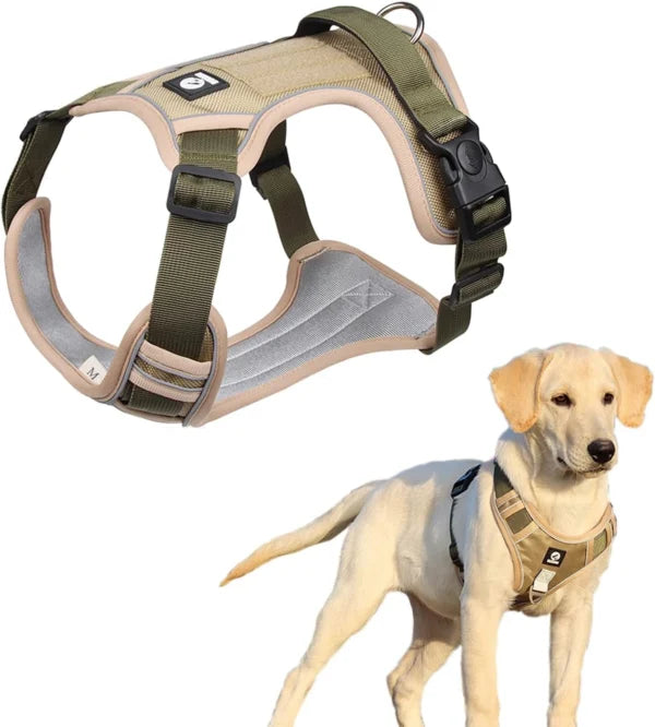 Dog Harness